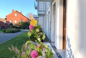 bild-von-strasse-13